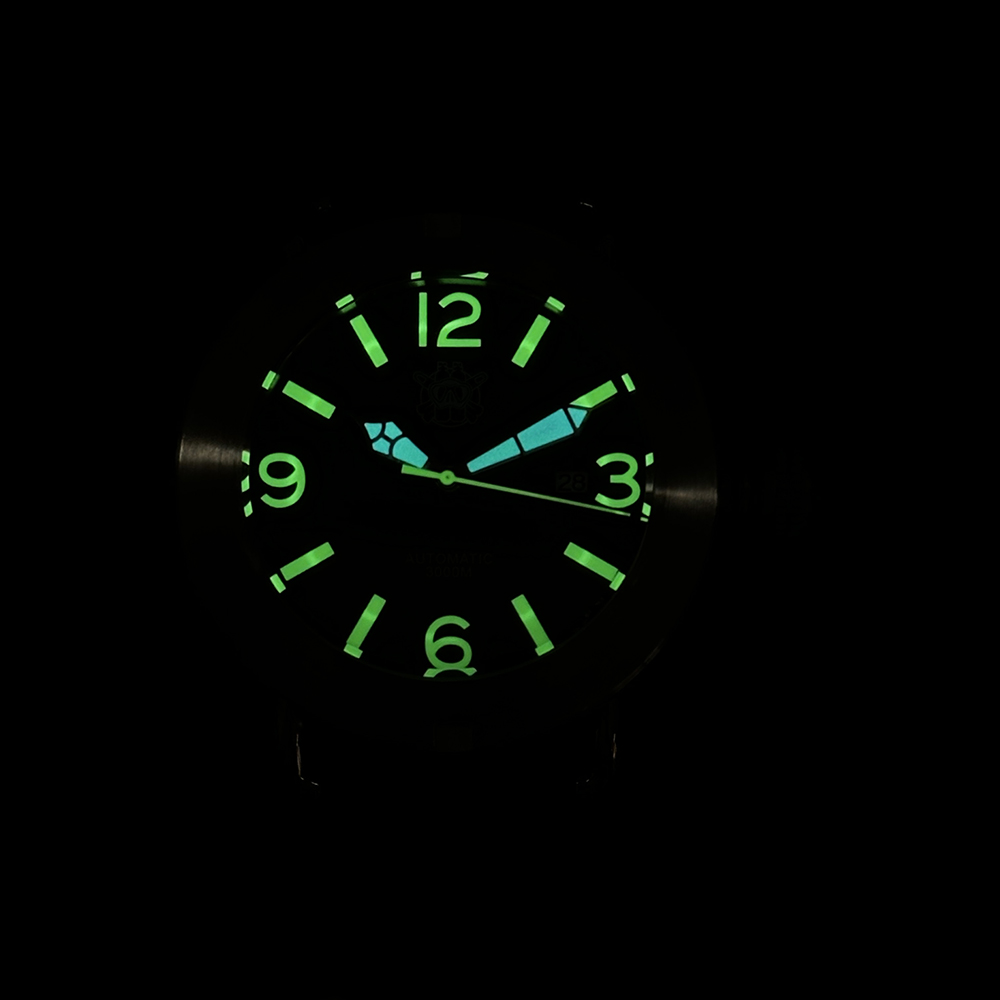 Steeldive 2025 Watch SD1912 Ov - Seiko Watch Prospex 评论和价格