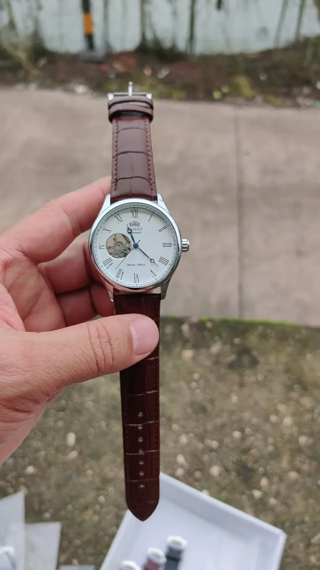 DFDG Mechanical Skeleton Watch - Seiko Watch Presage 评论和价格